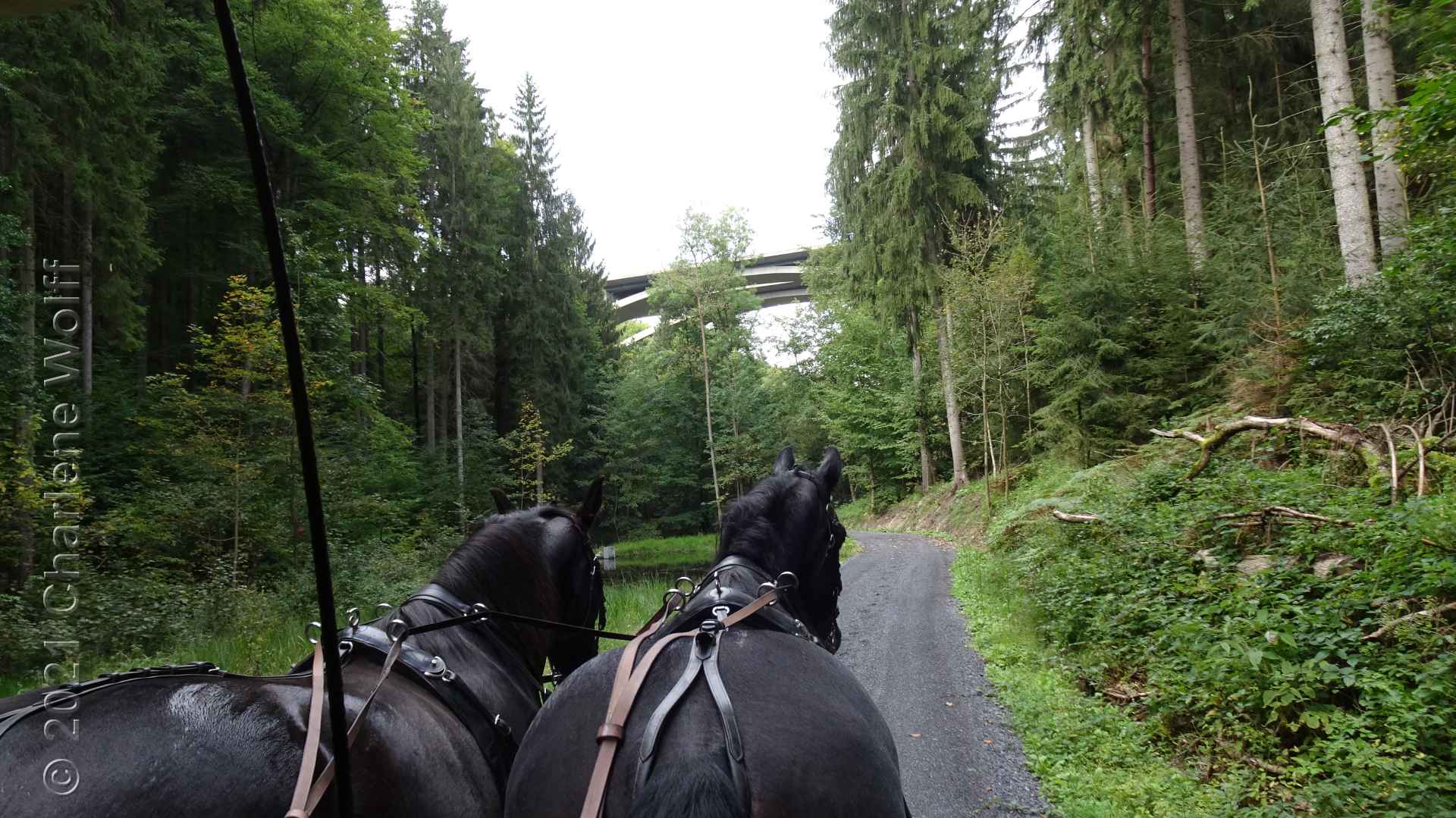 Kutschfahrt durchs Teufelstal, hoch oben die Autobahnbrücke